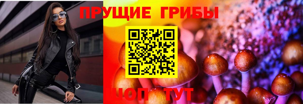 купить  сайты  Галлюциногенные грибы мухоморы  Вход с VPN  Тверь 
